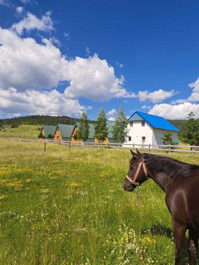 Vule Bungalovi Žabljak Eksteriør bilde