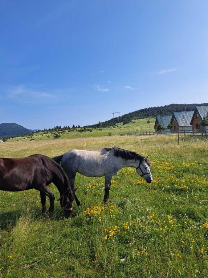 Vule Bungalovi Žabljak Eksteriør bilde
